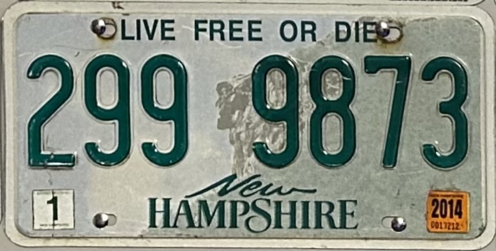 Standard license plate design